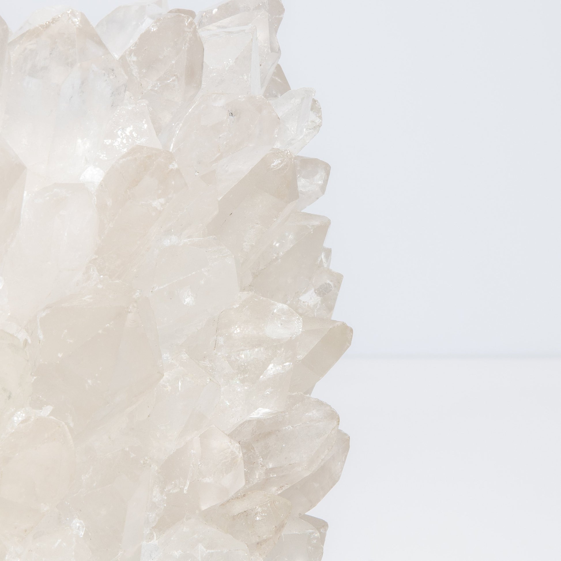 Planter Bowl Classic in Clear Quartz by Kathryn McCoy