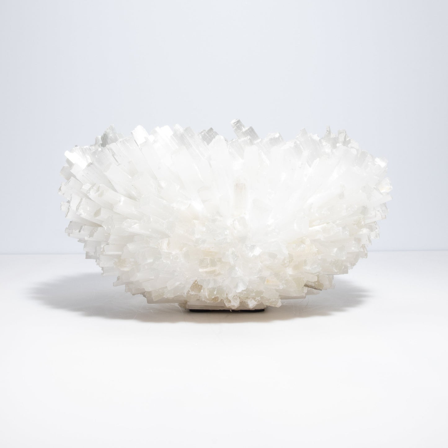 Classic Large Bowl in Selenite by Kathryn McCoy
