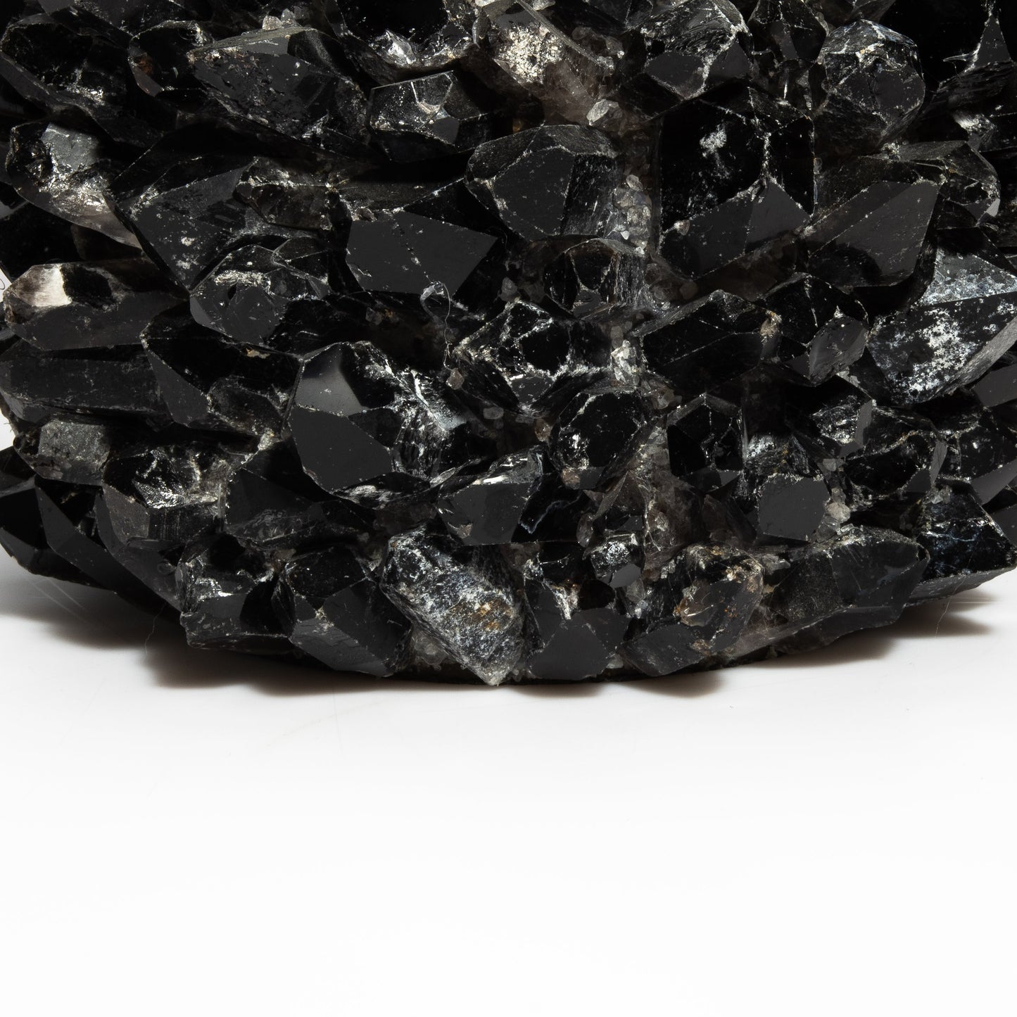 Planter Bowl Classic in Black Quartz by Kathryn McCoy