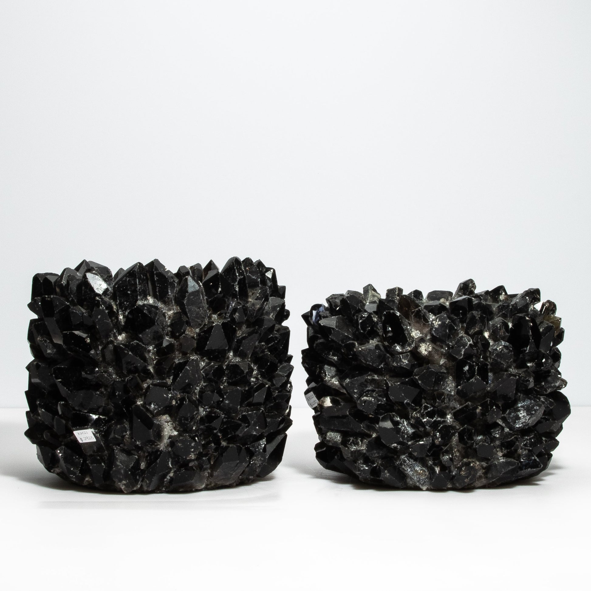 Planter Bowl Classic in Black Quartz by Kathryn McCoy