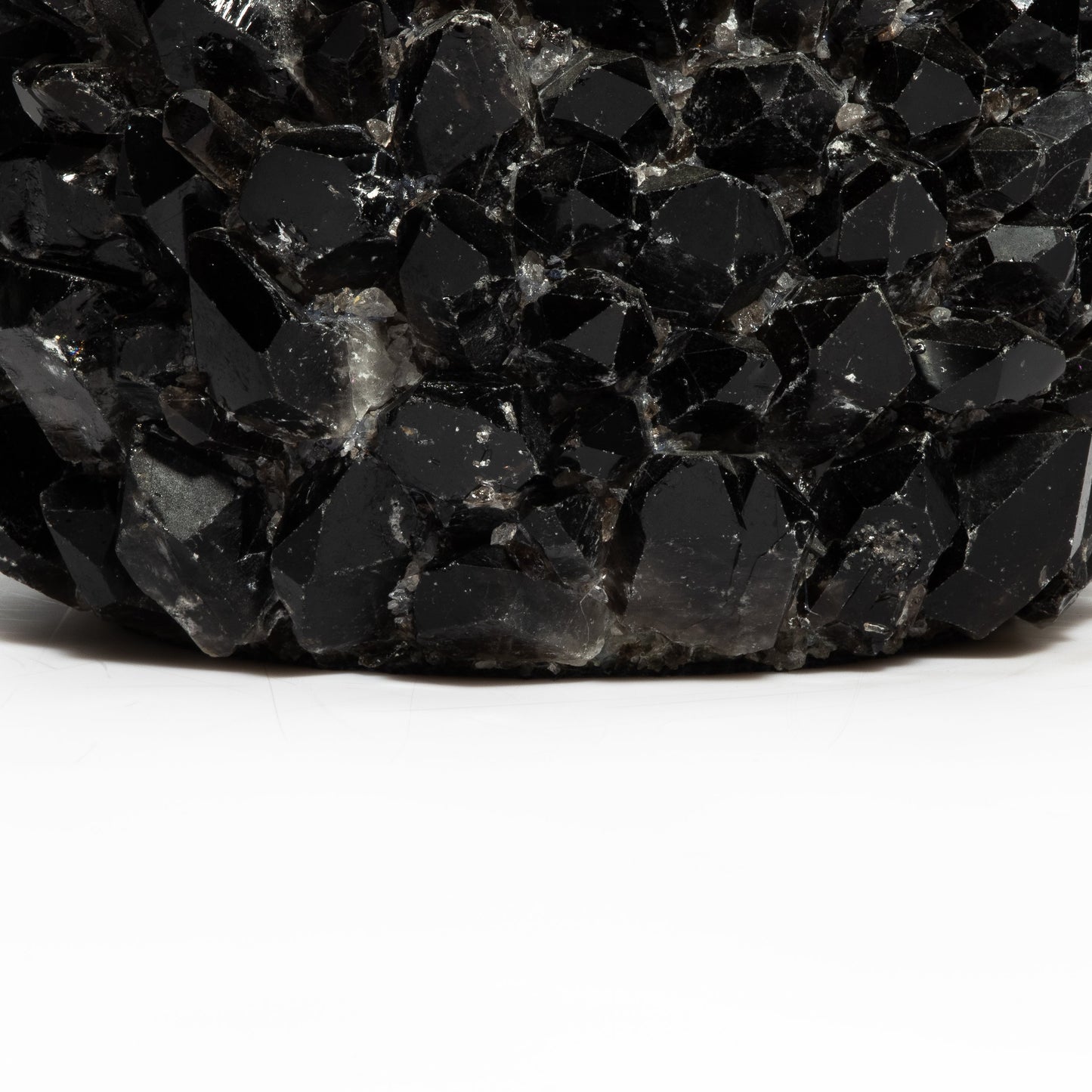 Planter Bowl Grande in Black Quartz by Kathryn McCoy