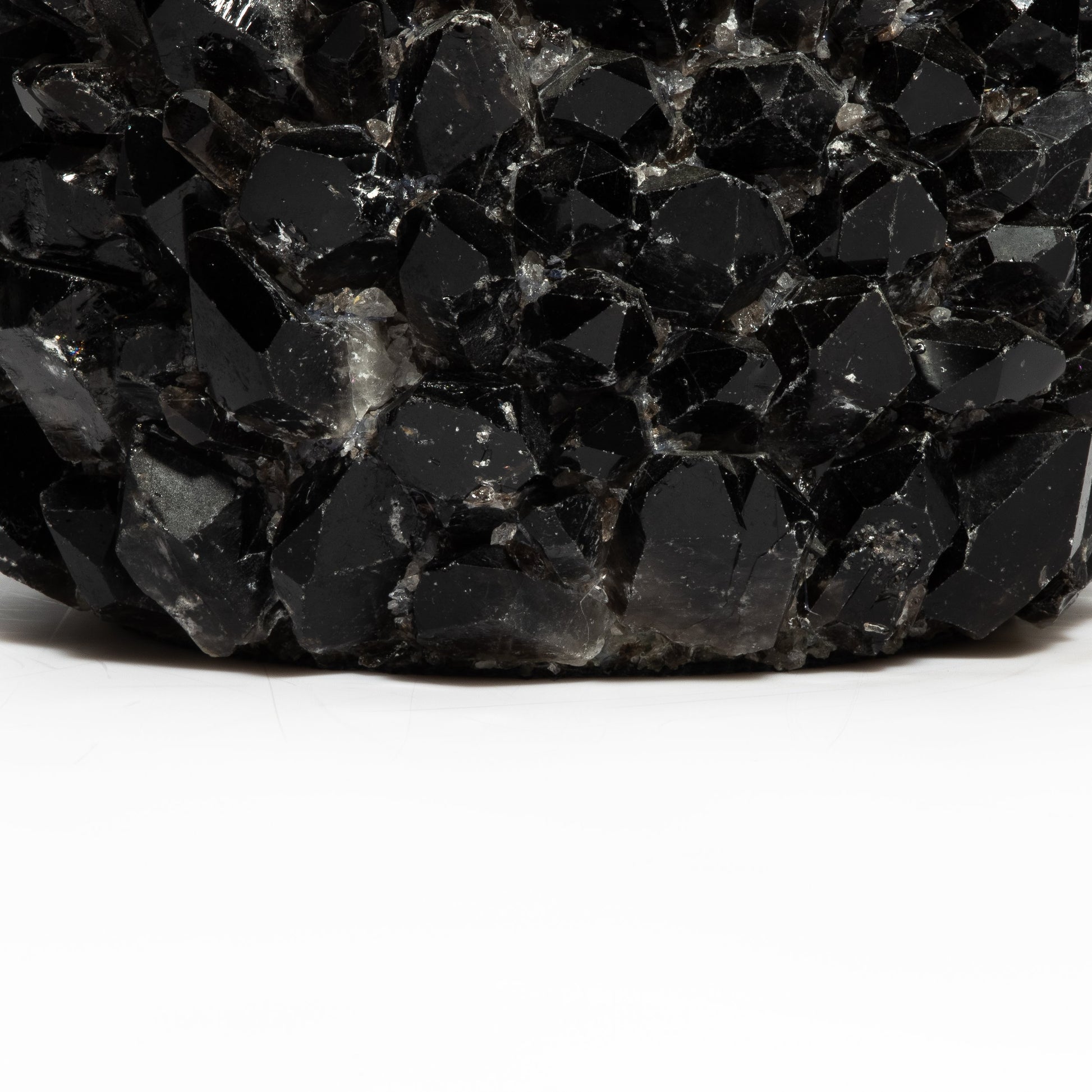 Planter Bowl Grande in Black Quartz by Kathryn McCoy