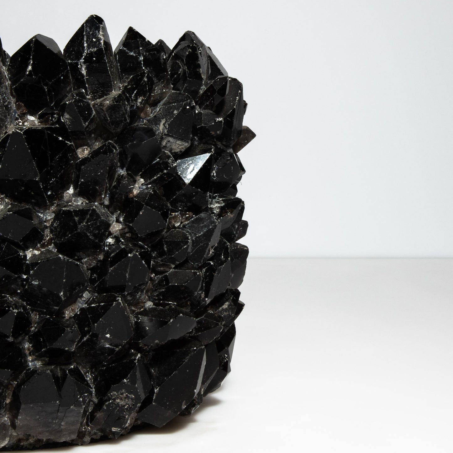 Planter Bowl Grande in Black Quartz by Kathryn McCoy