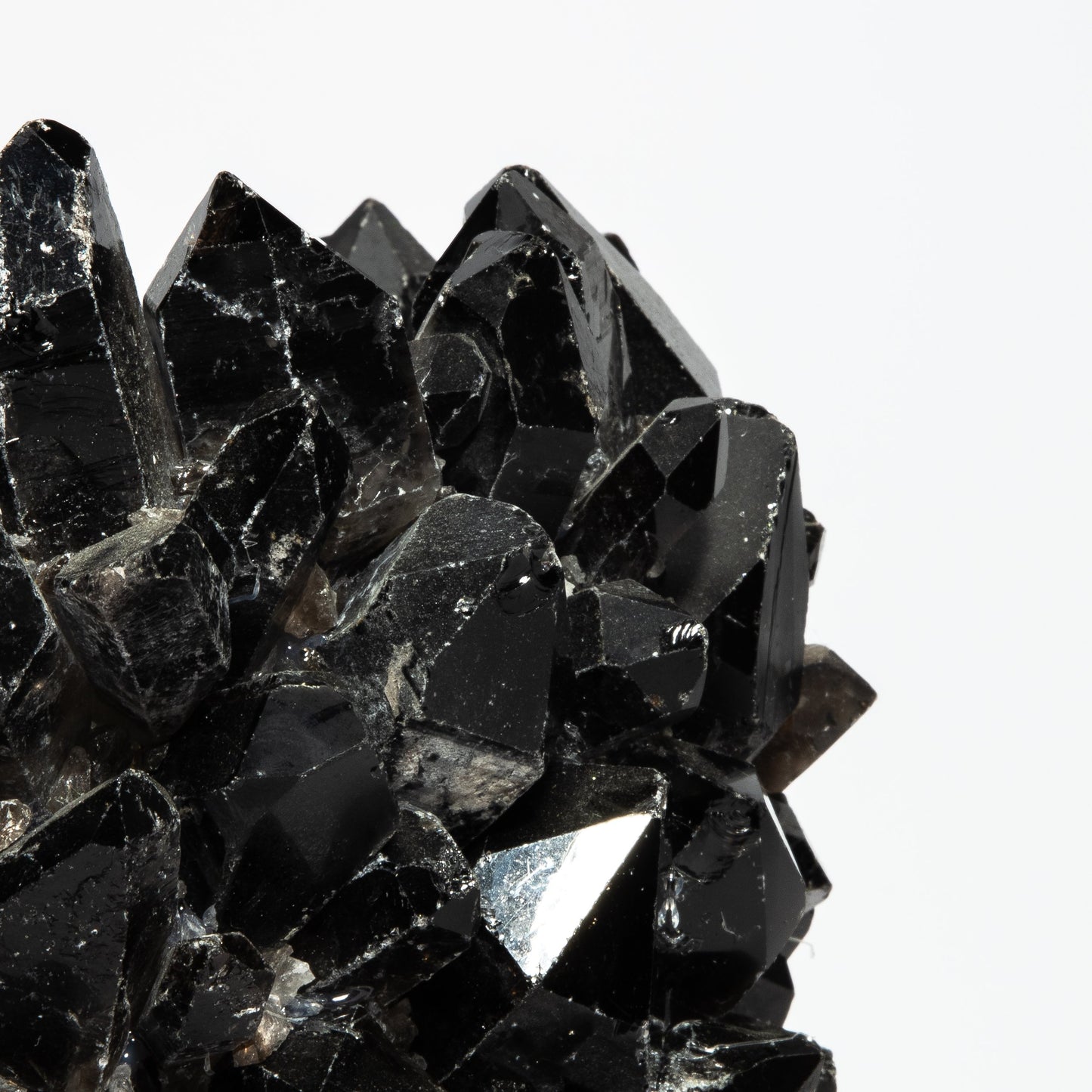 Planter Bowl Grande in Black Quartz by Kathryn McCoy