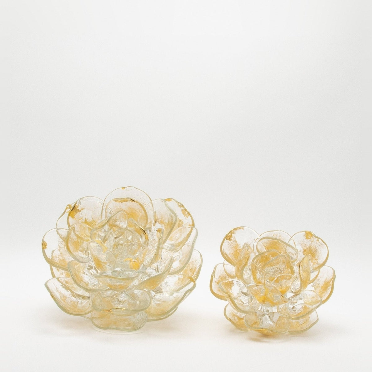 Champagne Lotus by Martin Blank