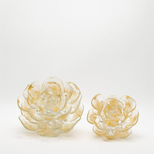 Champagne Lotus by Martin Blank