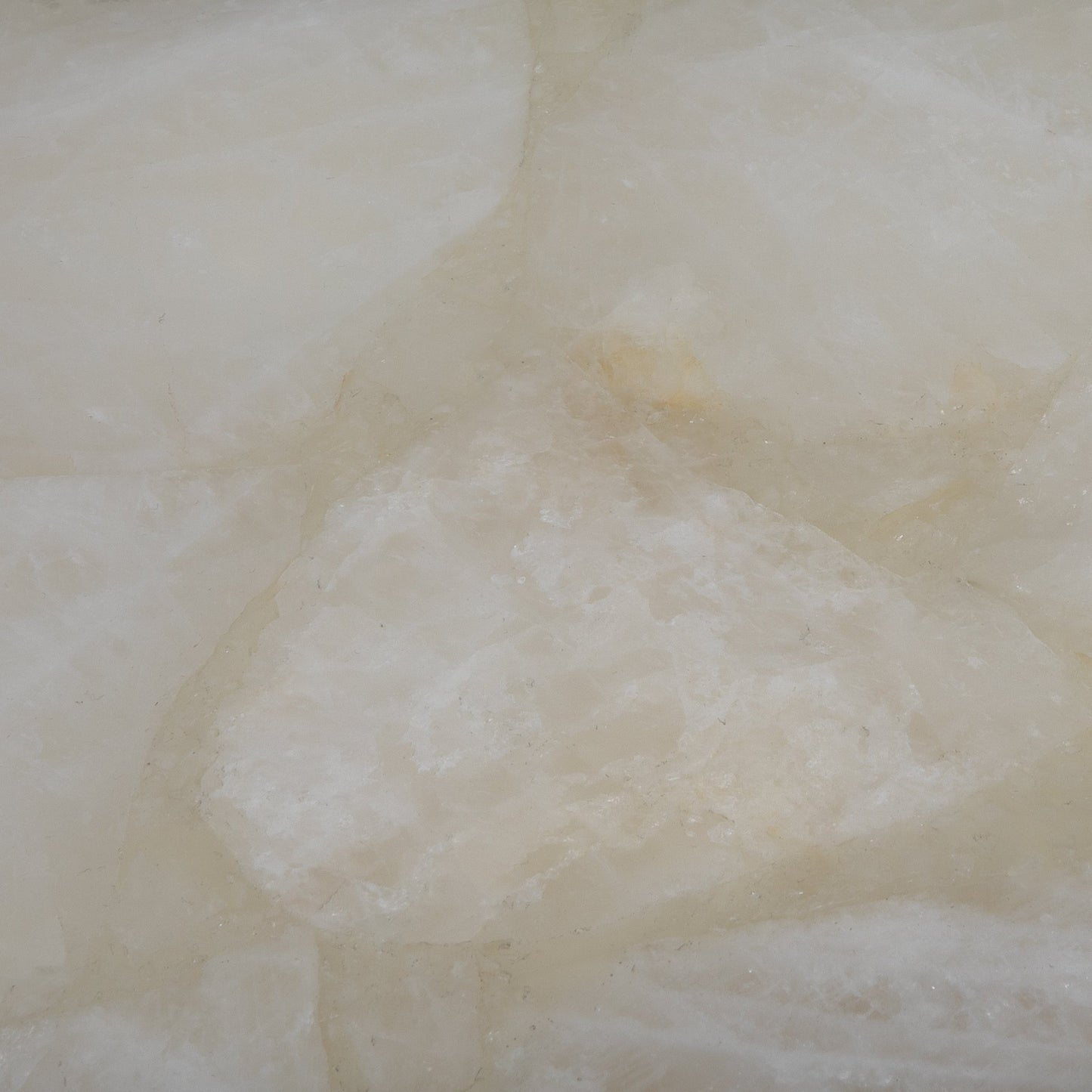 product_nam by Kifu Paris at MOGUL