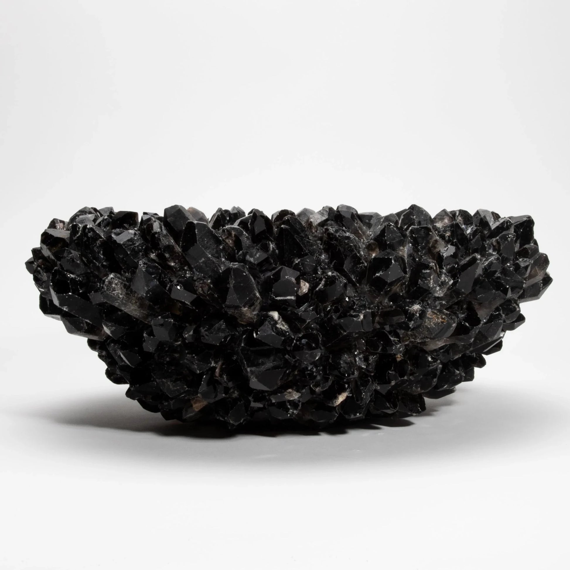 product_nam by Kathryn McCoy at MOGUL