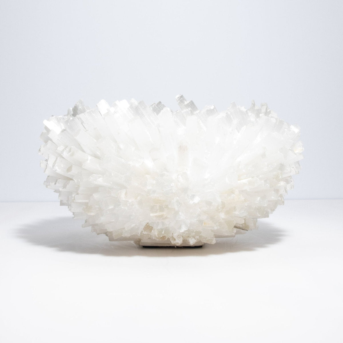 #product_nam# by Kathryn McCoy at MOGUL