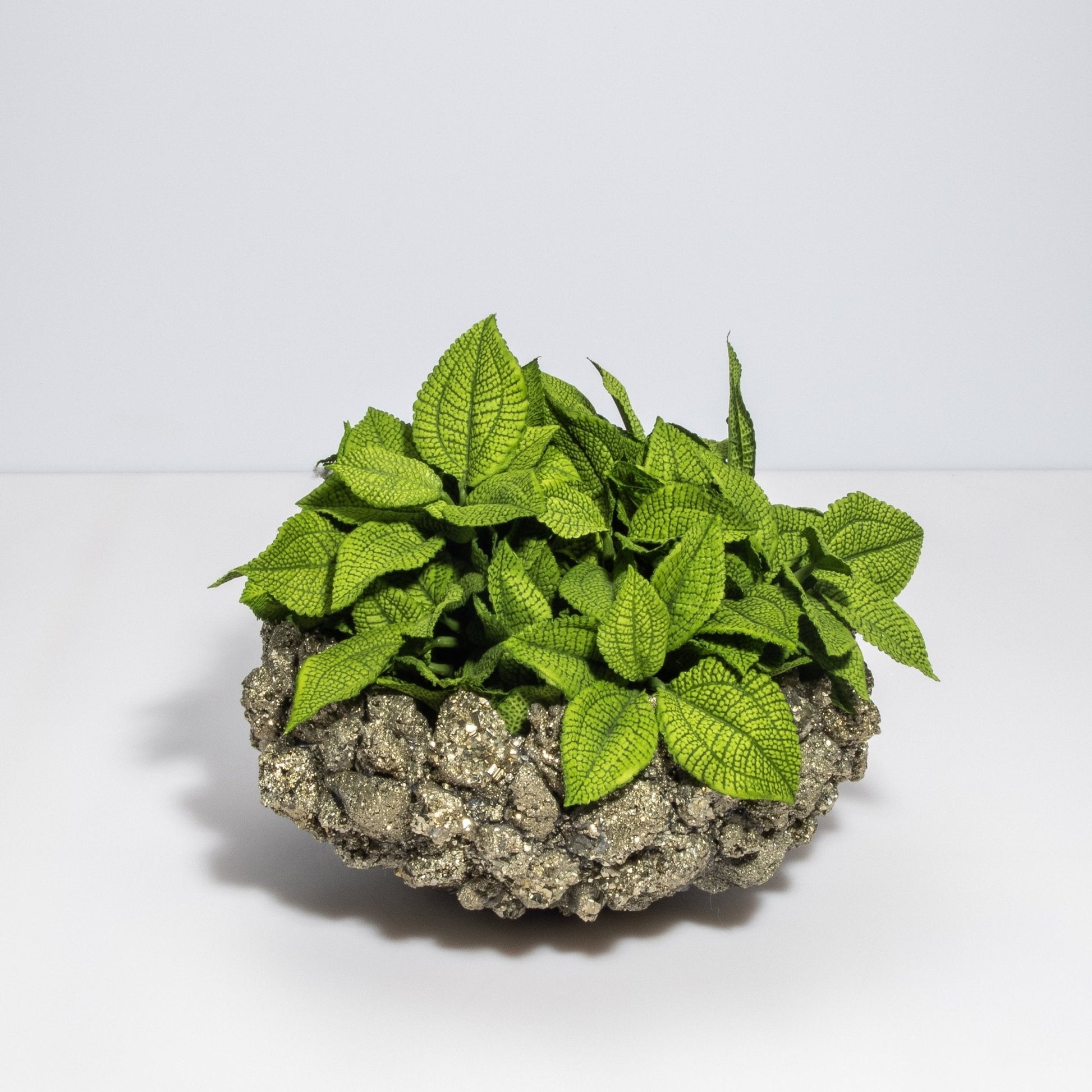 {{ product_title }} by {{ vendor }} – luxury {{ product_type }} at MOGUL