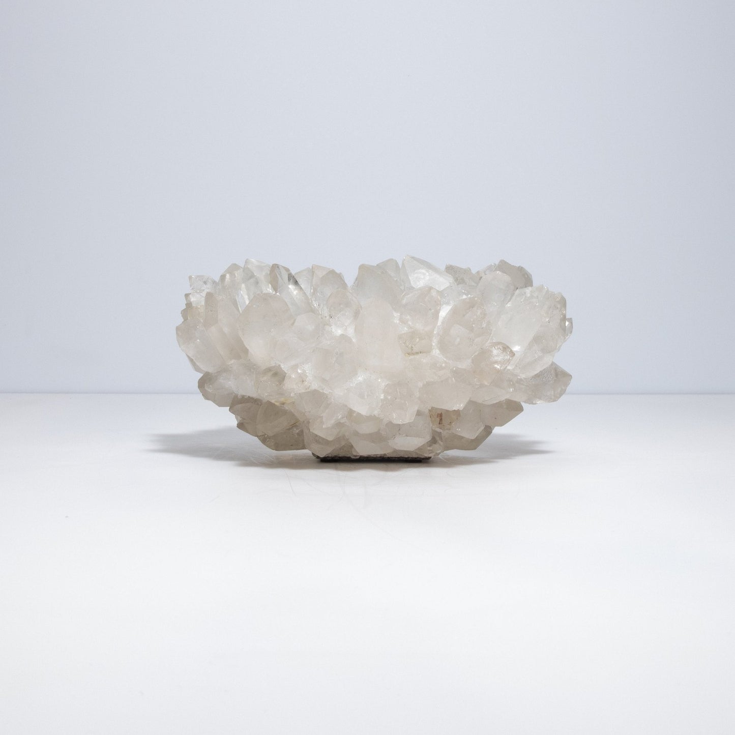 product_nam by Kathryn McCoy at MOGUL