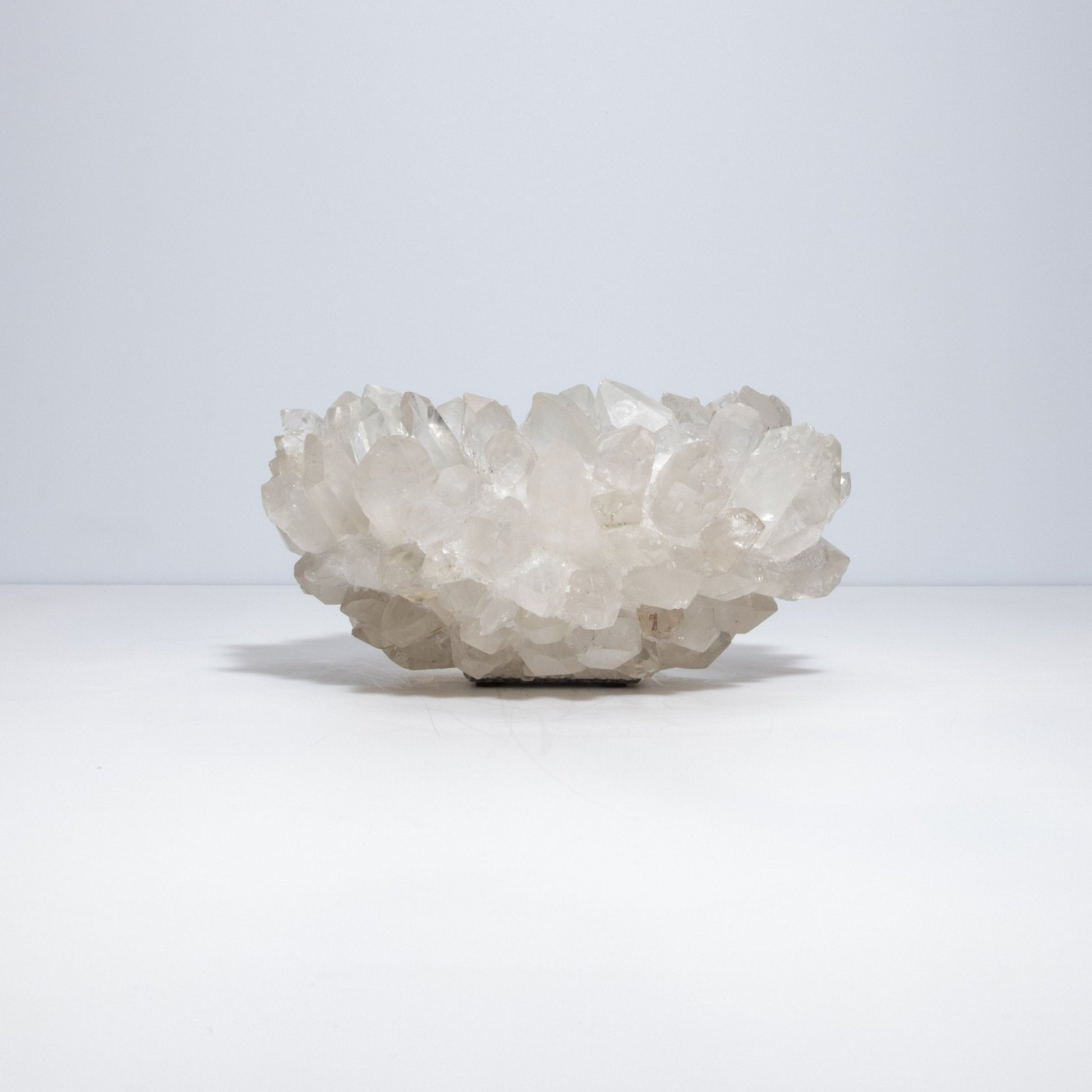product_nam by Kathryn McCoy at MOGUL