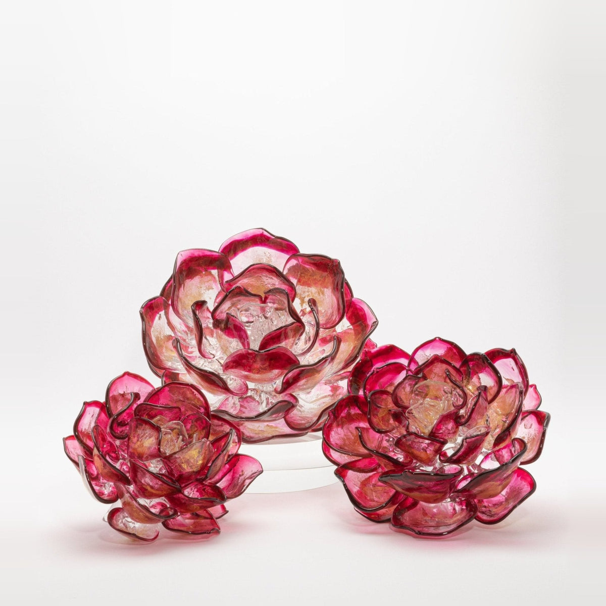 Cranberry Lotus by Martin Blank