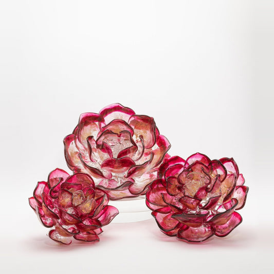 Cranberry Lotus by Martin Blank