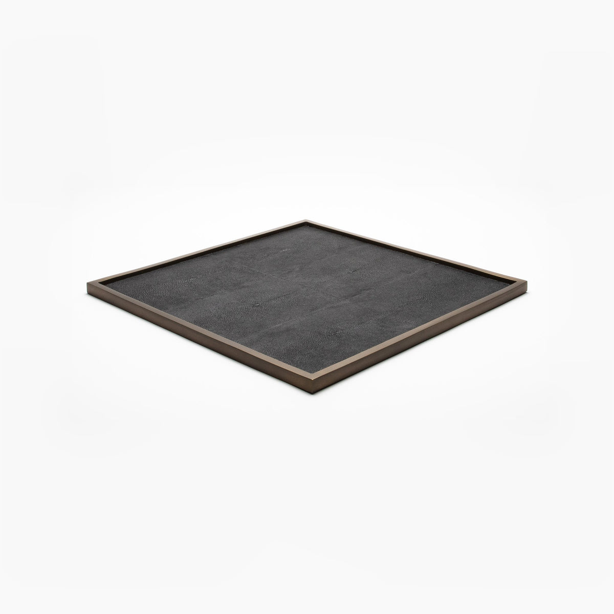 Extra Large Tray in Shagreen by Kifu Paris