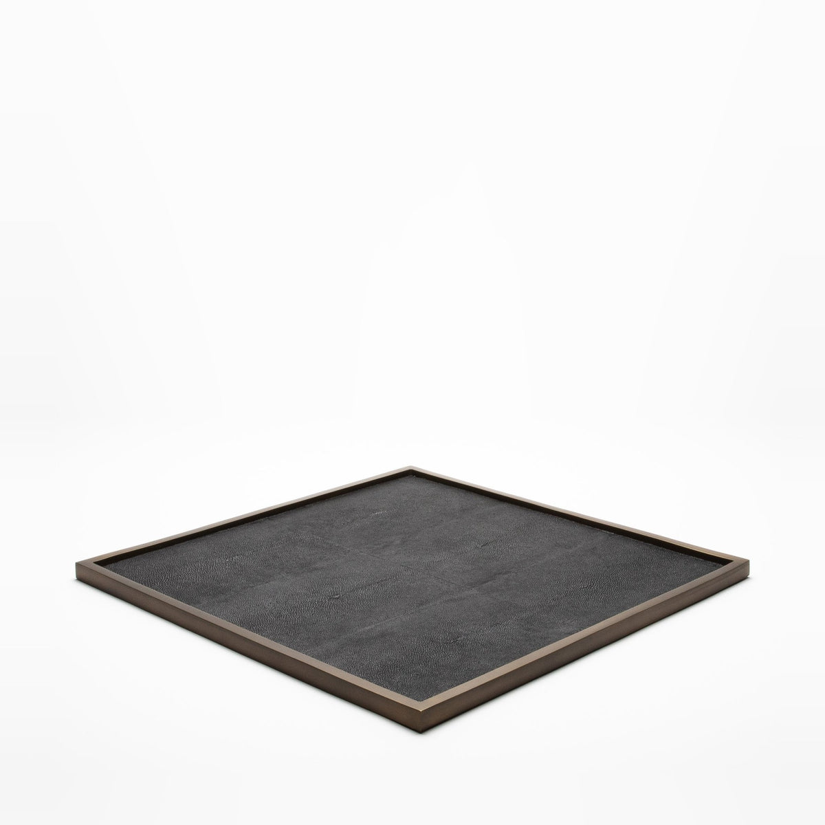 Extra Large Tray in Shagreen by Kifu Paris