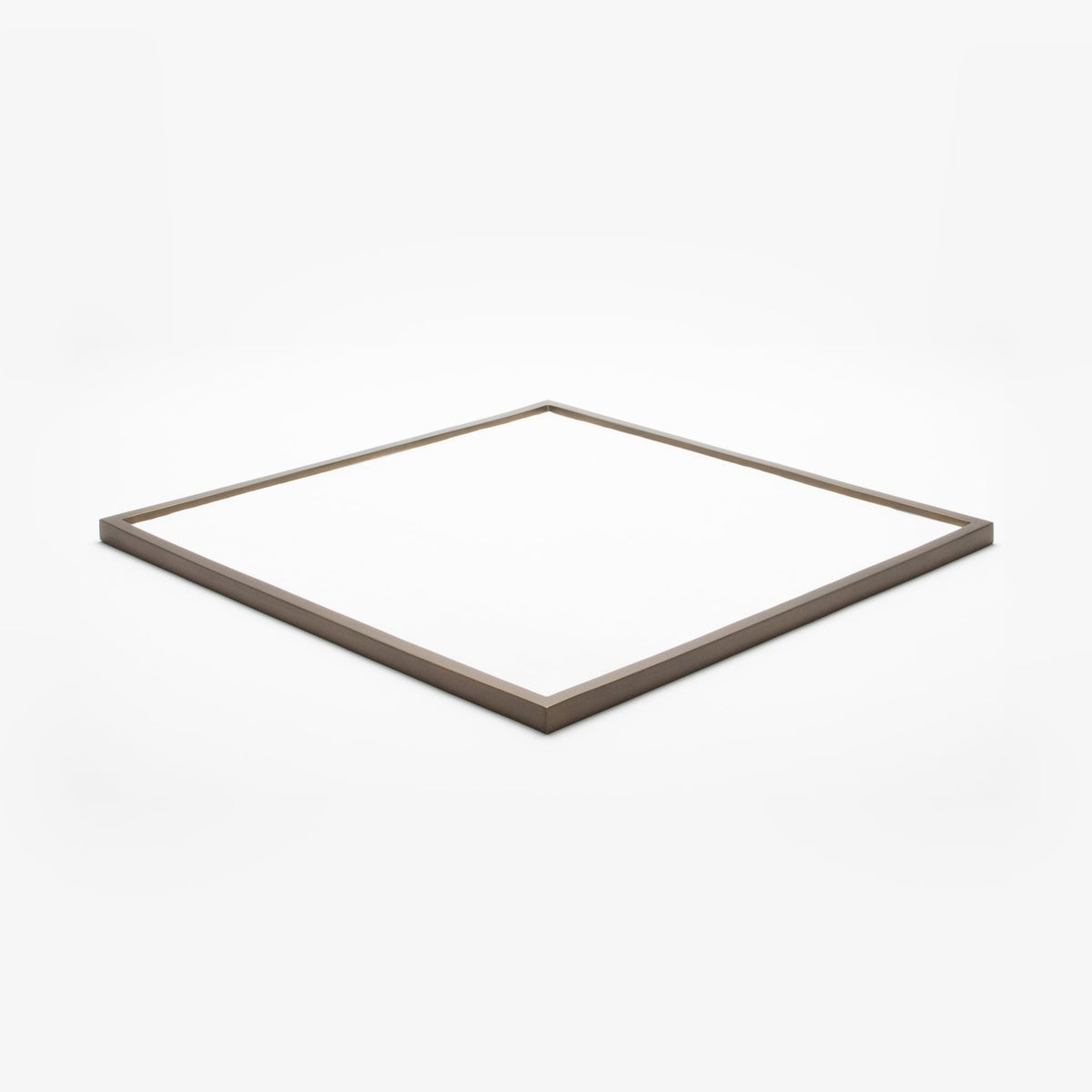 Extra Large Tray in Shagreen with Bronze by Kifu Paris