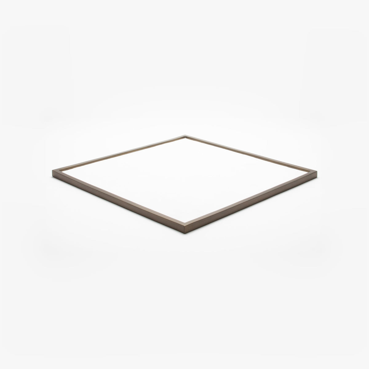 Extra Large Tray in Shagreen with Bronze by Kifu Paris