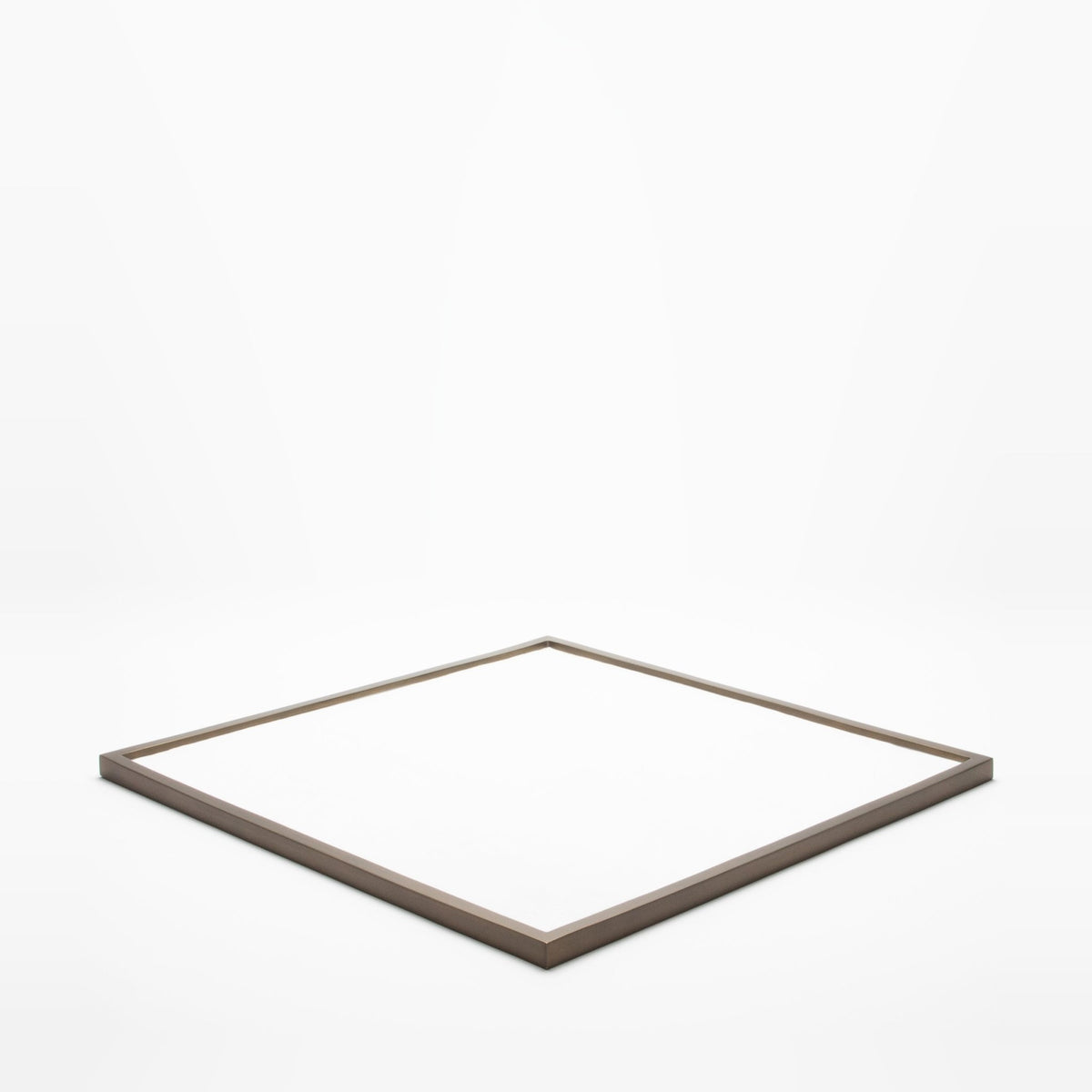 Extra Large Tray in Shagreen with Bronze by Kifu Paris