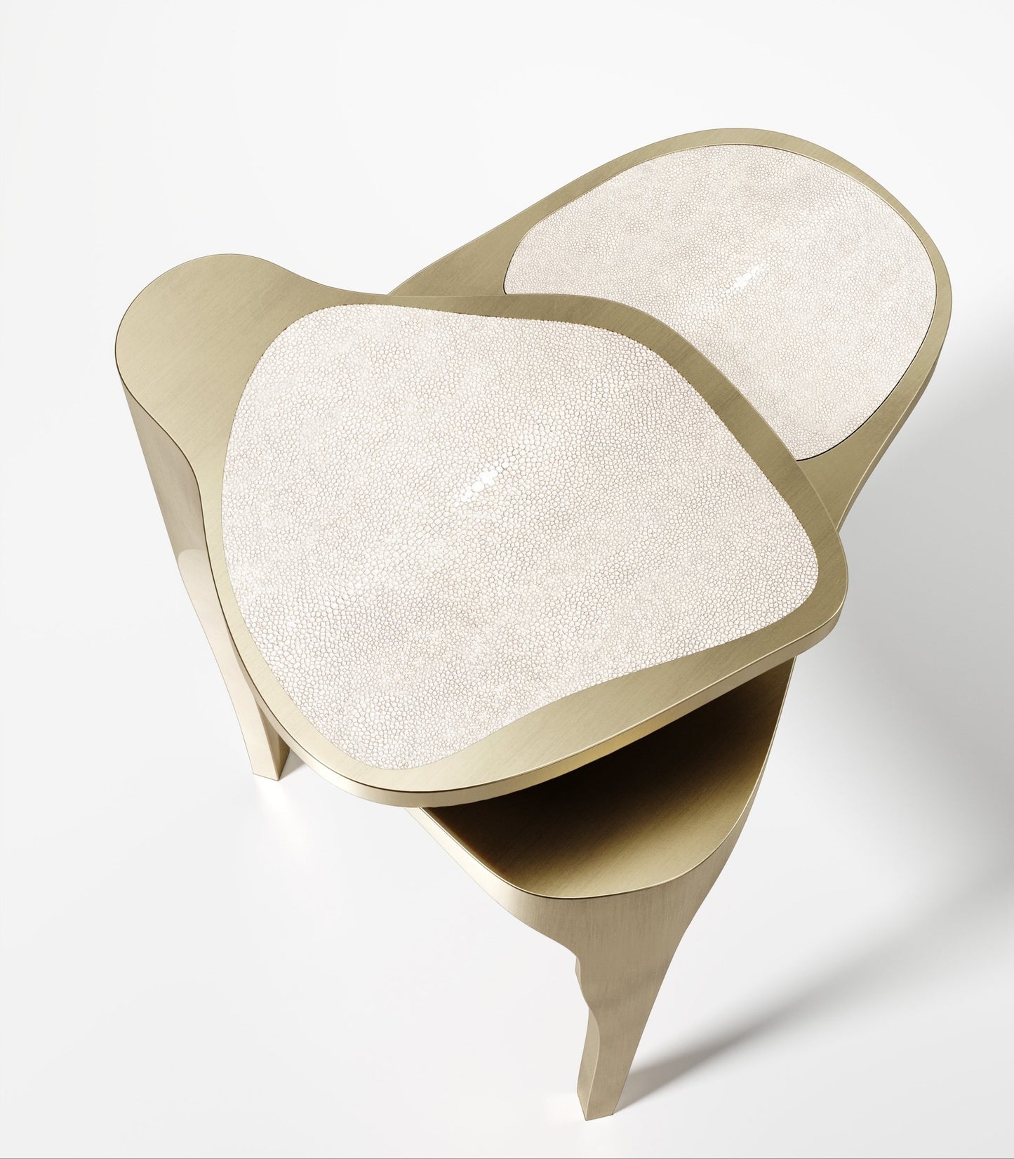 product_nam by R&Y Augousti at MOGUL