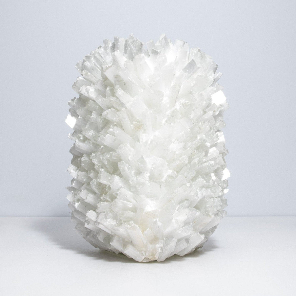 Grayson Vase in Selenite by Kathryn McCoy