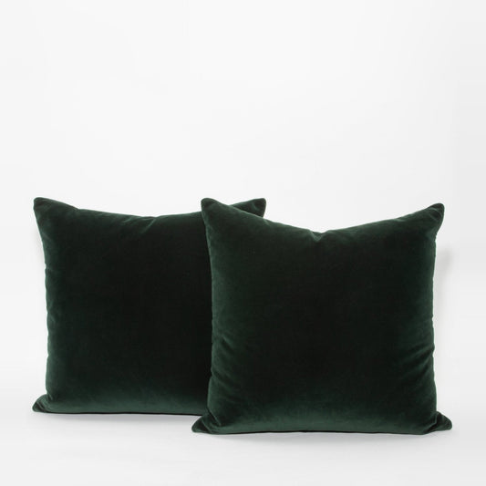 Green Velvet Pillow