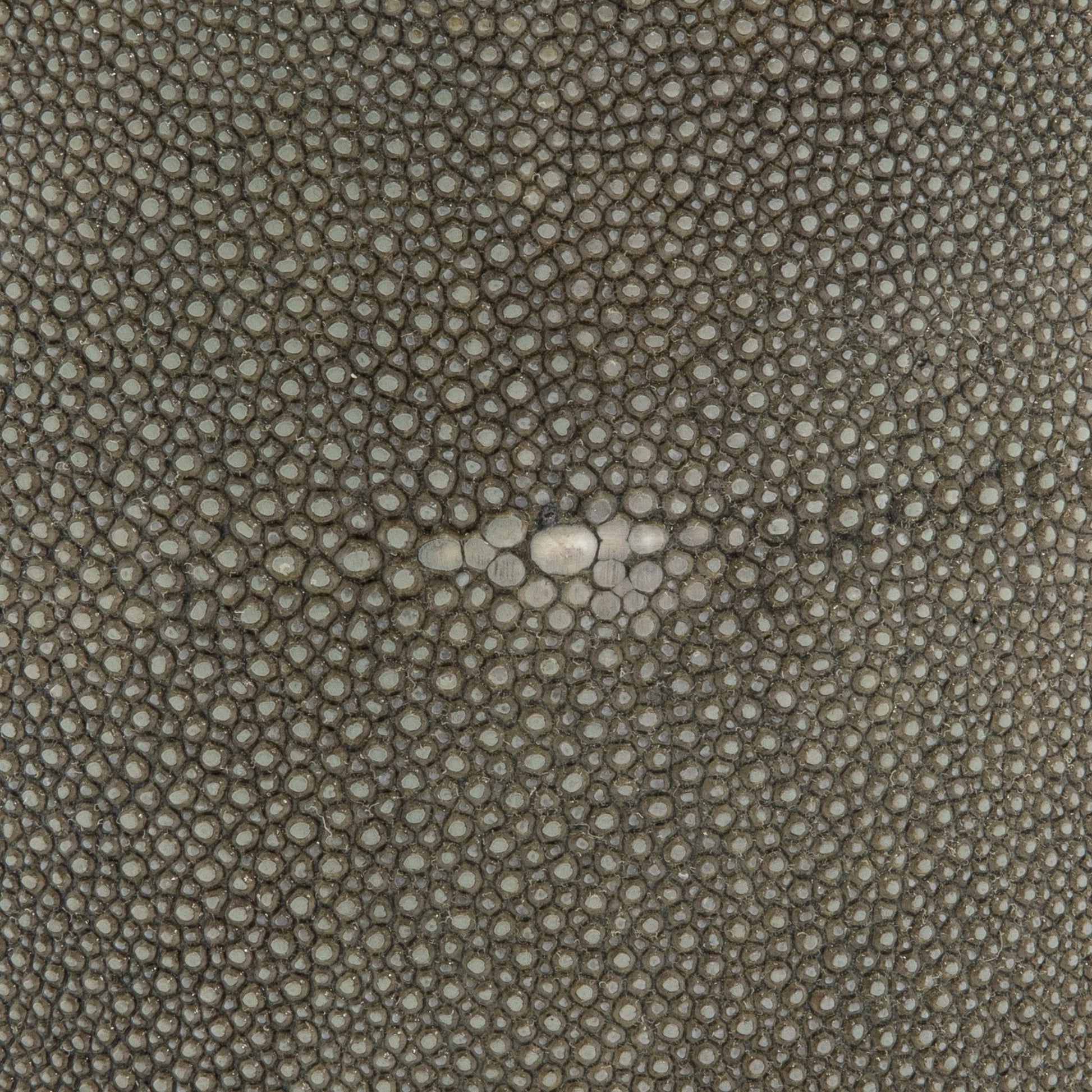 {{ product_title }} by {{ vendor }} – luxury {{ product_type }} at MOGUL