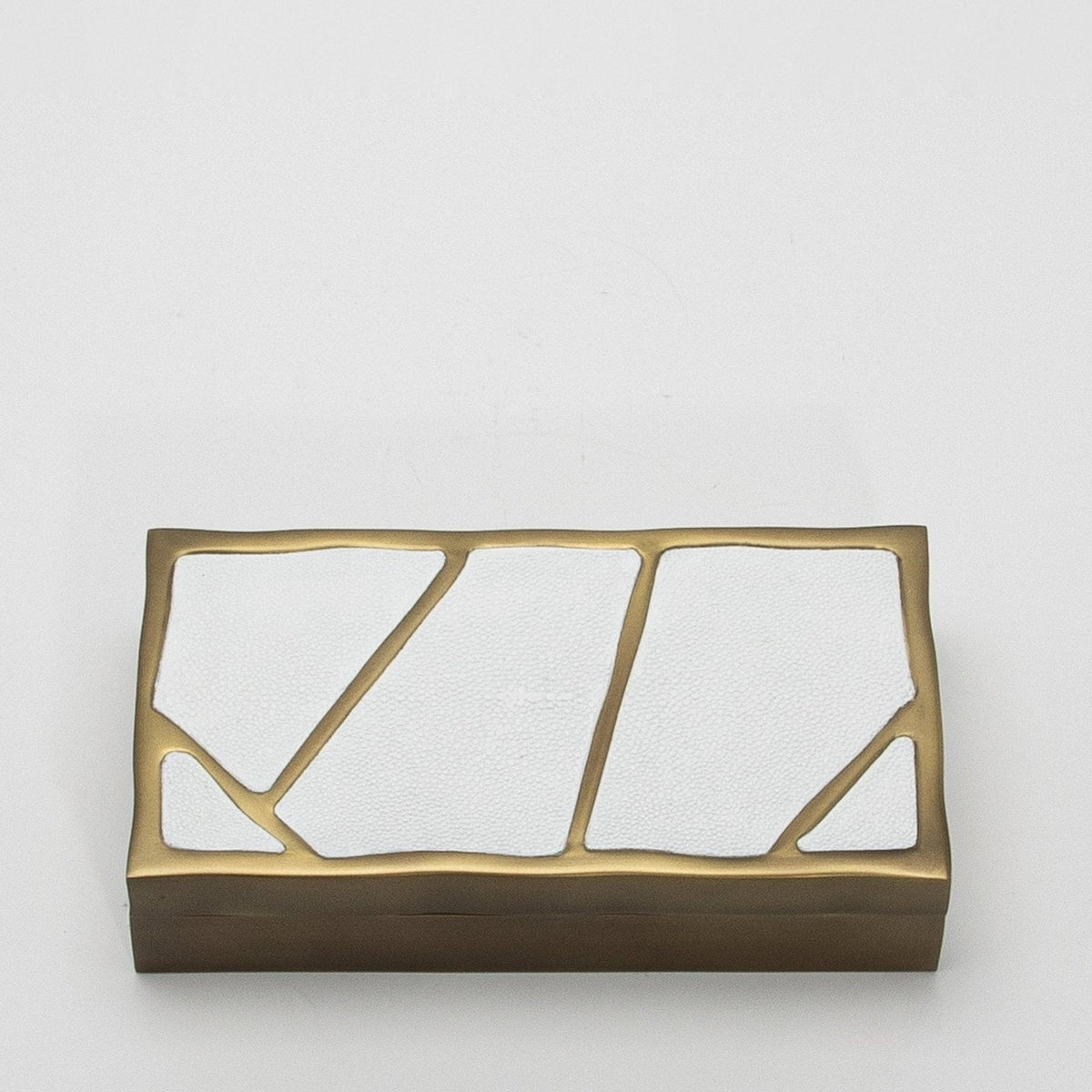 Modern Box in White Shagreen with Bronze Patina Brass by R&Y Augousti