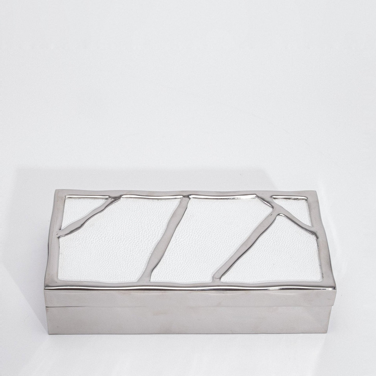 Modern Box in White Shagreen with Polished Stainless Steel by R&Y Augousti
