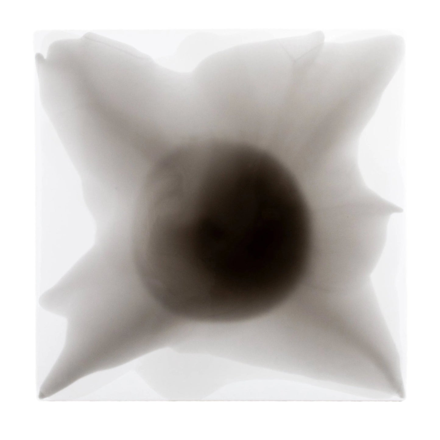 {{ product_title }} by {{ vendor }} – luxury {{ product_type }} at MOGUL