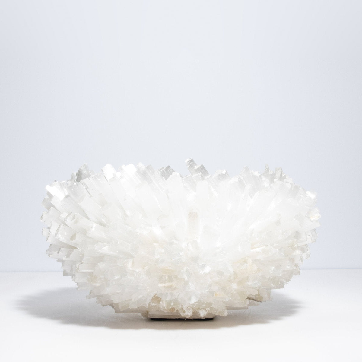 Classic Large Bowl in Selenite by Kathryn McCoy at MOGUL
