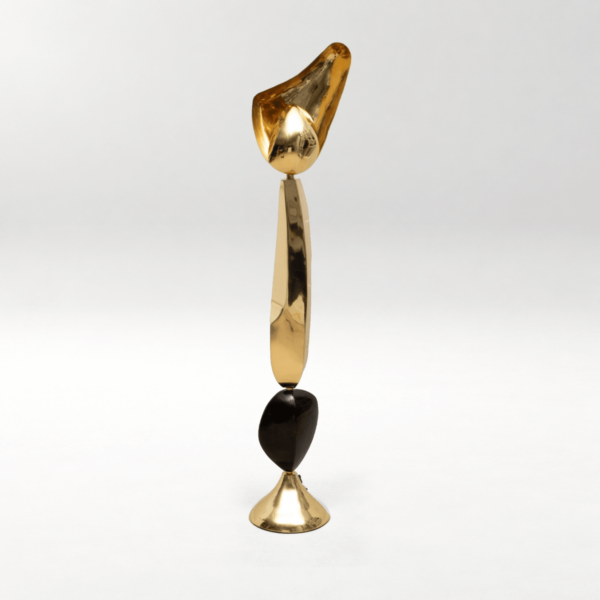 Sculptural Floor Lamp in Polished Brass with Black Shell by KIFU Paris