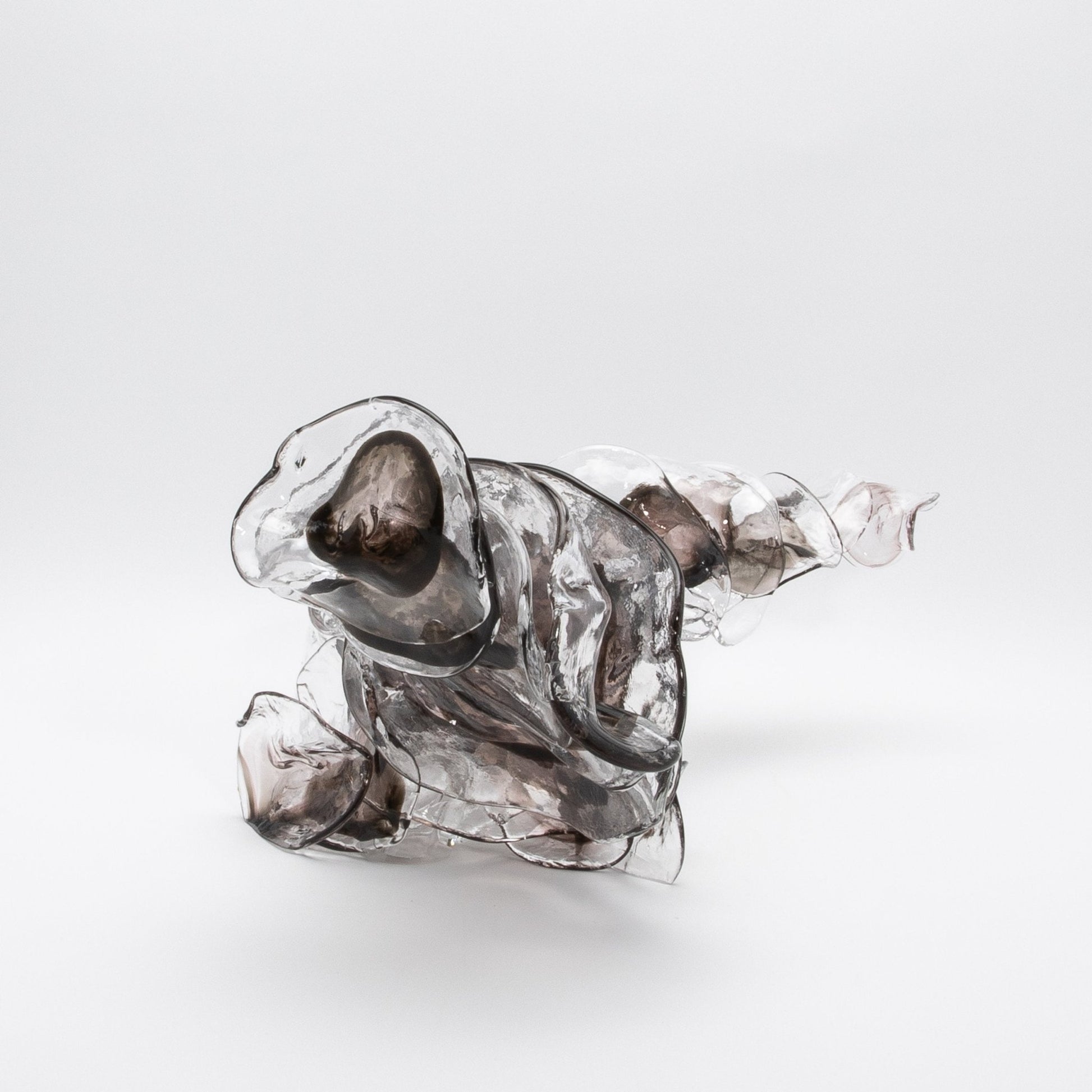 product_nam by Martin Blank at MOGUL