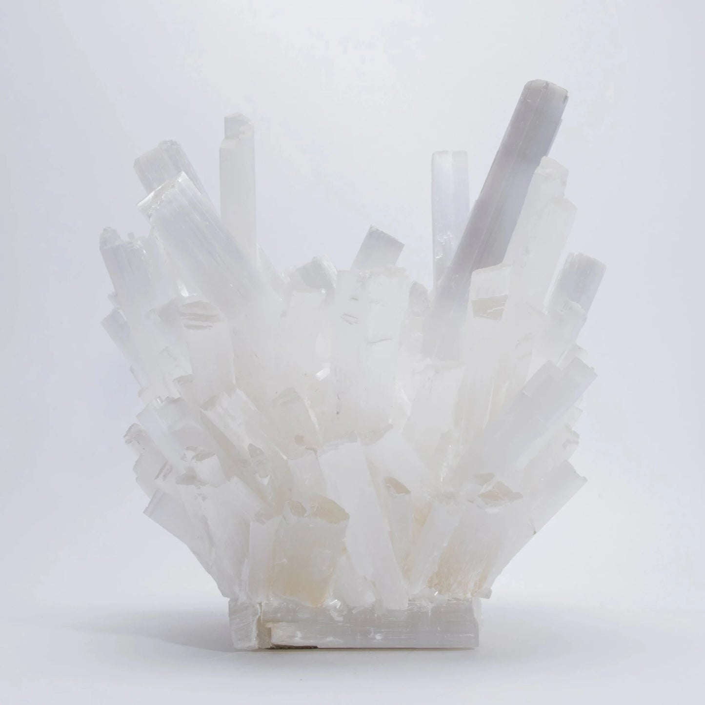 {{ product_title }} by {{ vendor }} – luxury {{ product_type }} at MOGUL