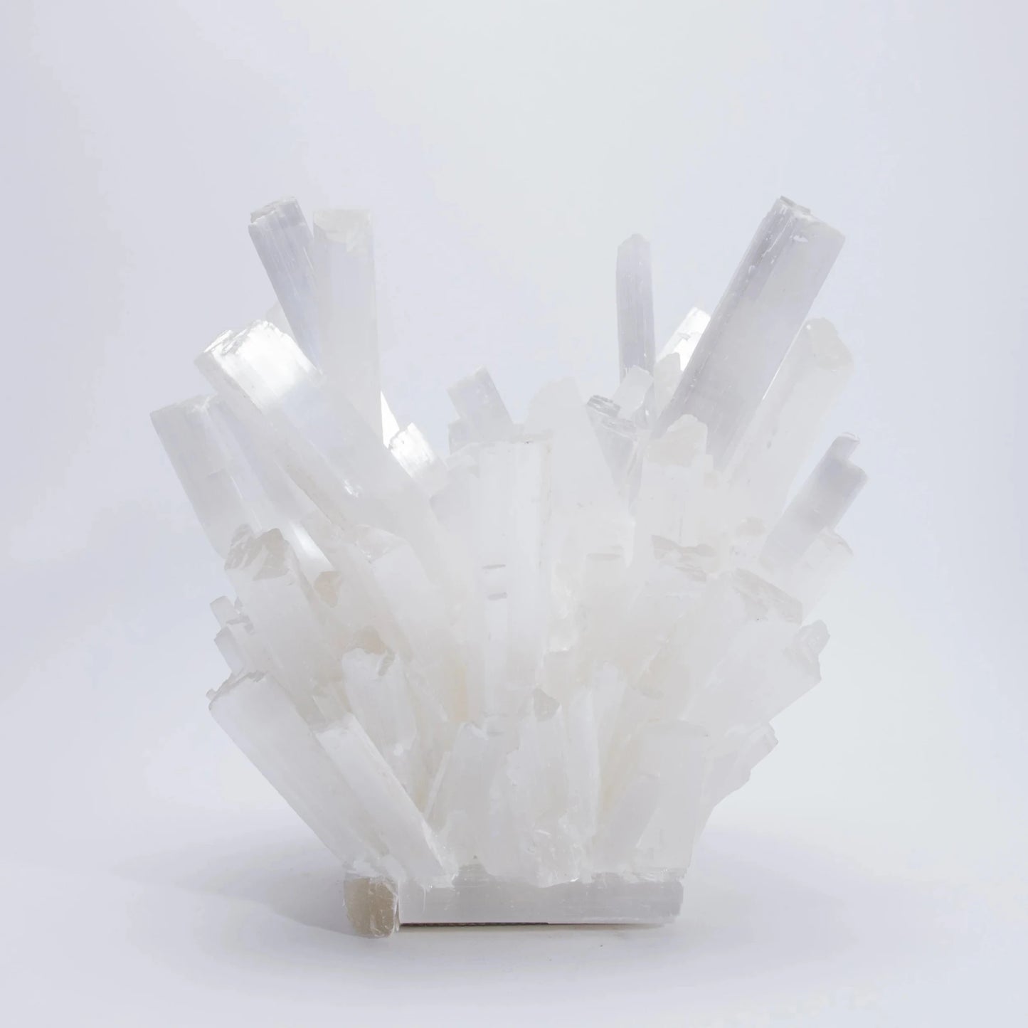 {{ product_title }} by {{ vendor }} – luxury {{ product_type }} at MOGUL