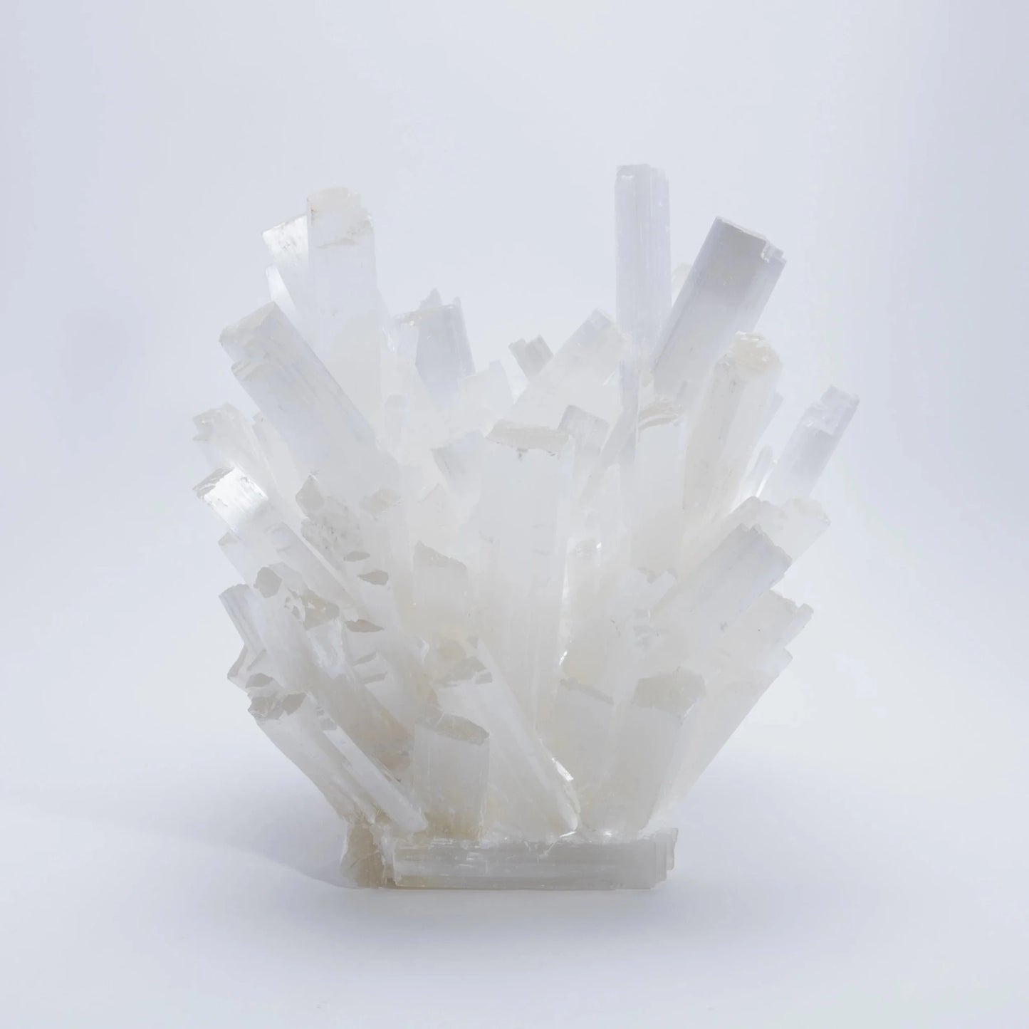 {{ product_title }} by {{ vendor }} – luxury {{ product_type }} at MOGUL