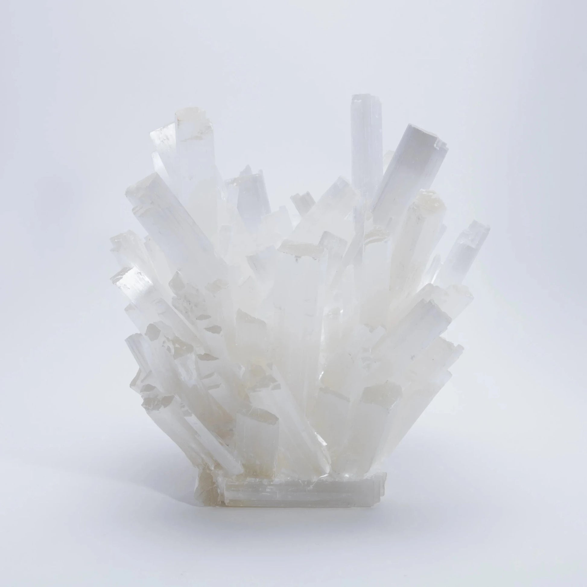 {{ product_title }} by {{ vendor }} – luxury {{ product_type }} at MOGUL