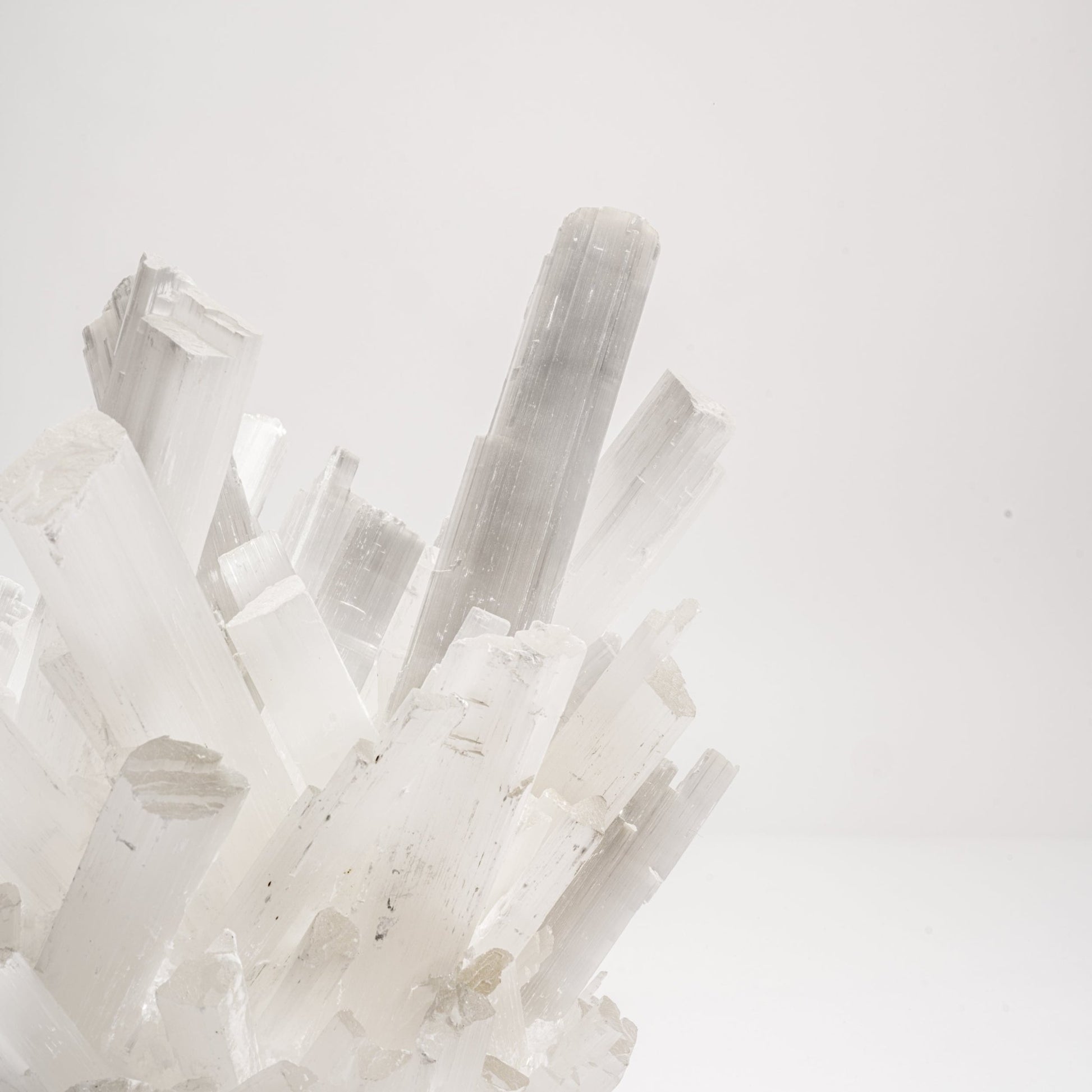 {{ product_title }} by {{ vendor }} – luxury {{ product_type }} at MOGUL