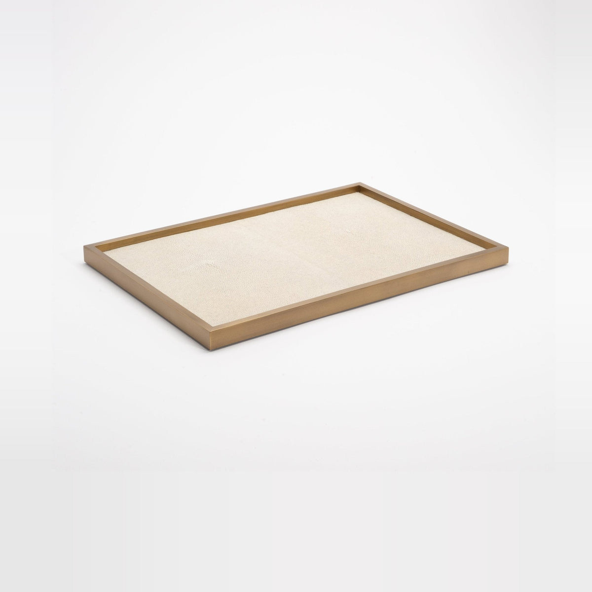Tray in Antique Natural Shagreen with Bronze Patina Brass by Kifu Paris
