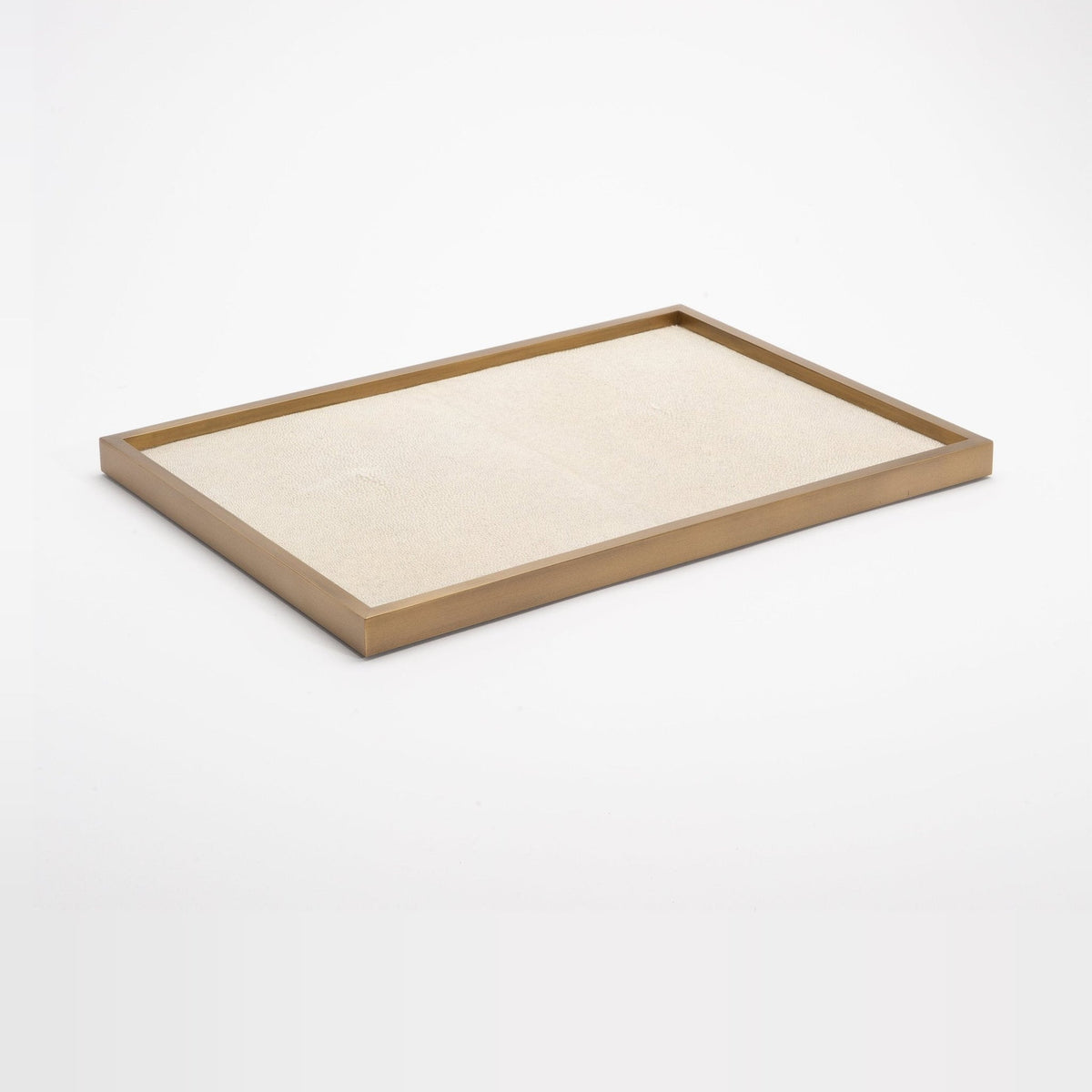 Tray in Antique Natural Shagreen with Bronze Patina Brass by Kifu Paris