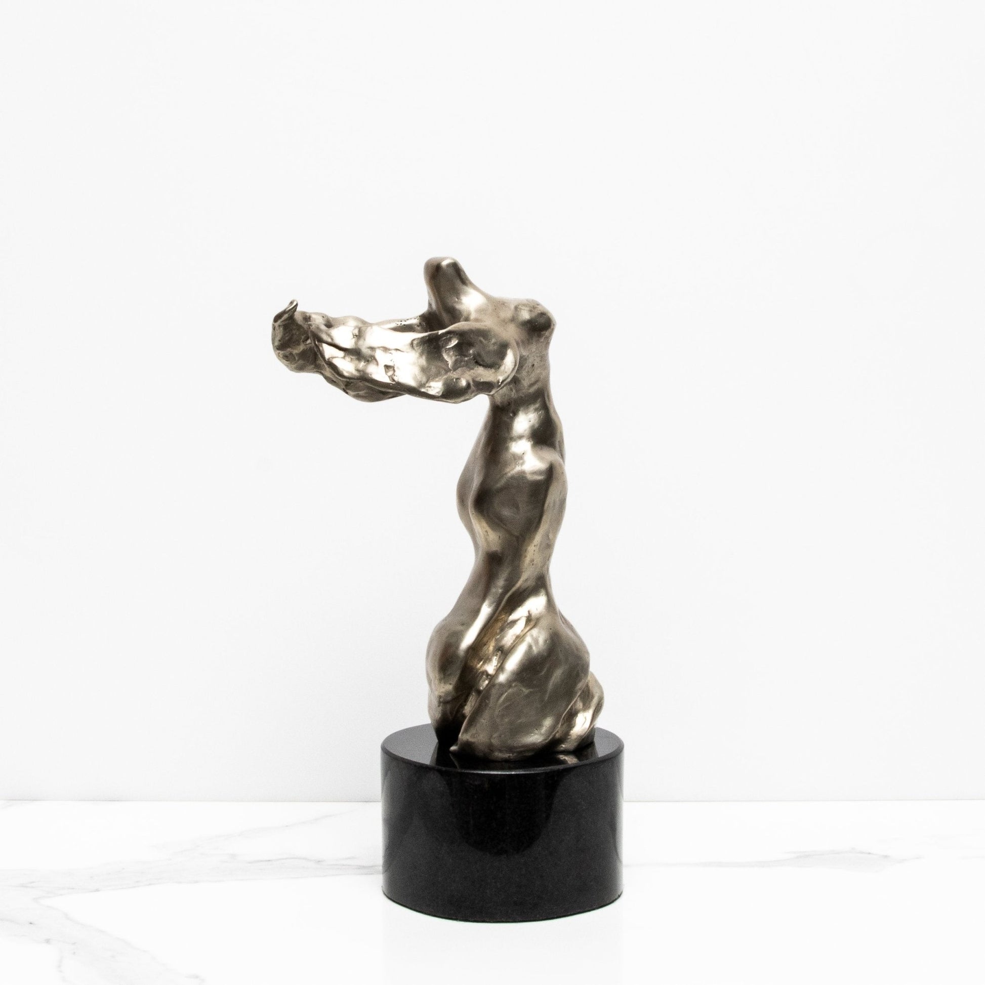 product_nam by Scott Gentry at MOGUL