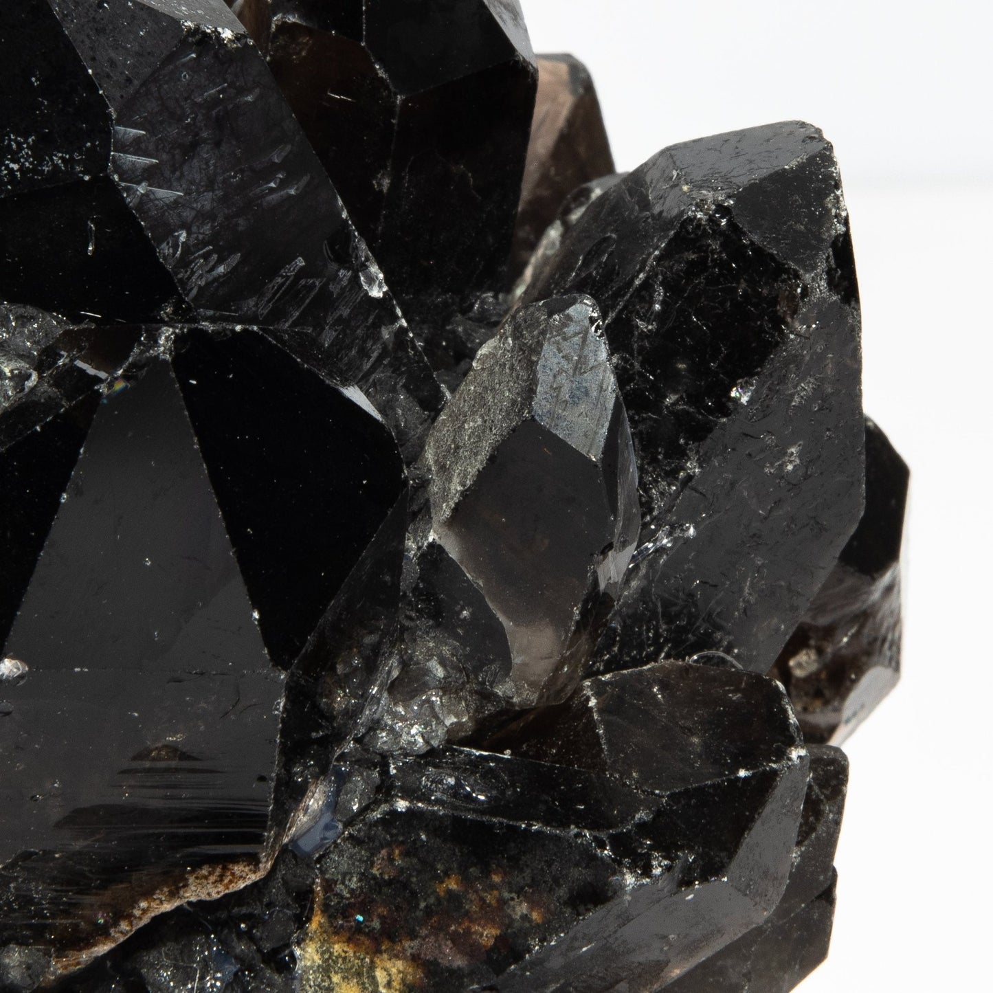 {{ product_title }} by {{ vendor }} – luxury {{ product_type }} at MOGUL