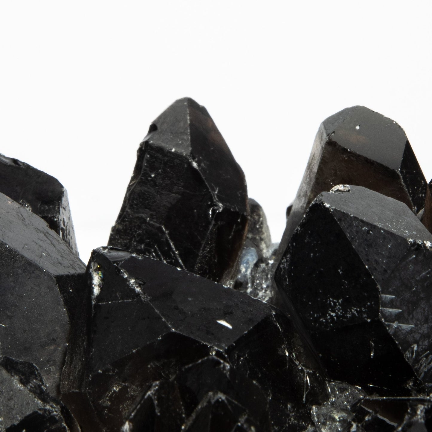 {{ product_title }} by {{ vendor }} – luxury {{ product_type }} at MOGUL