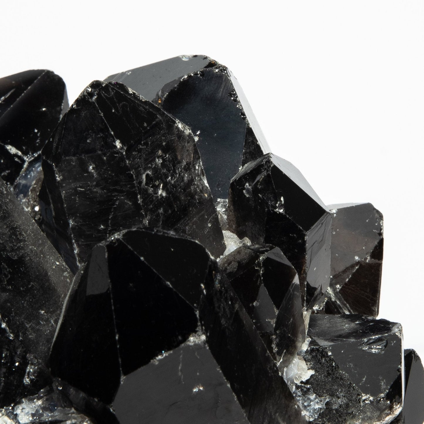 {{ product_title }} by {{ vendor }} – luxury {{ product_type }} at MOGUL