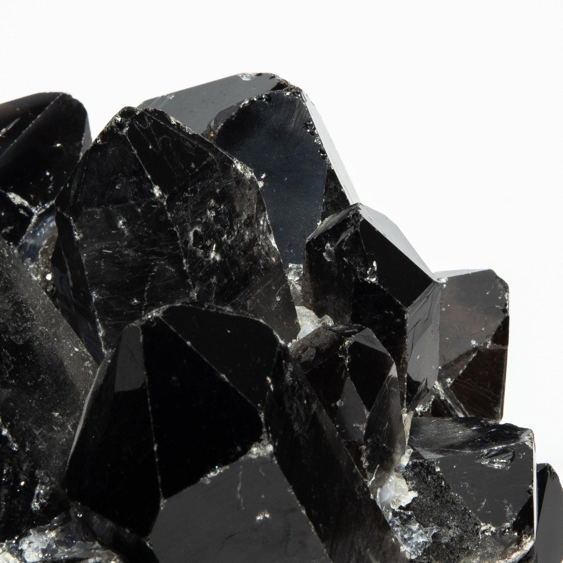 {{ product_title }} by {{ vendor }} – luxury {{ product_type }} at MOGUL