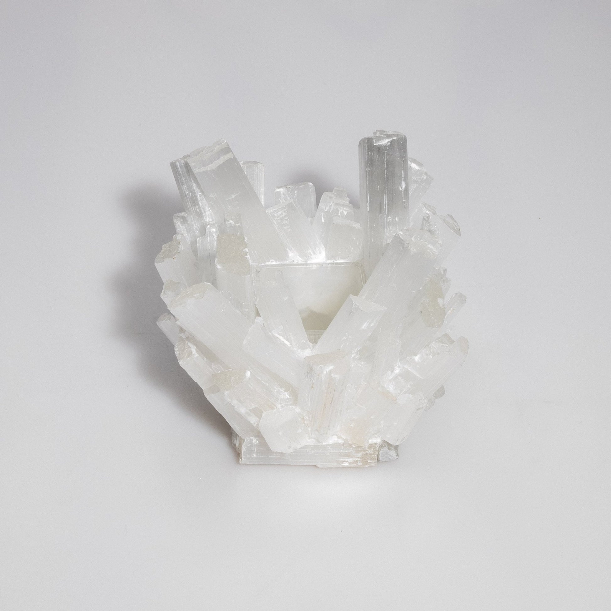 product_nam by Kathryn McCoy at MOGUL
