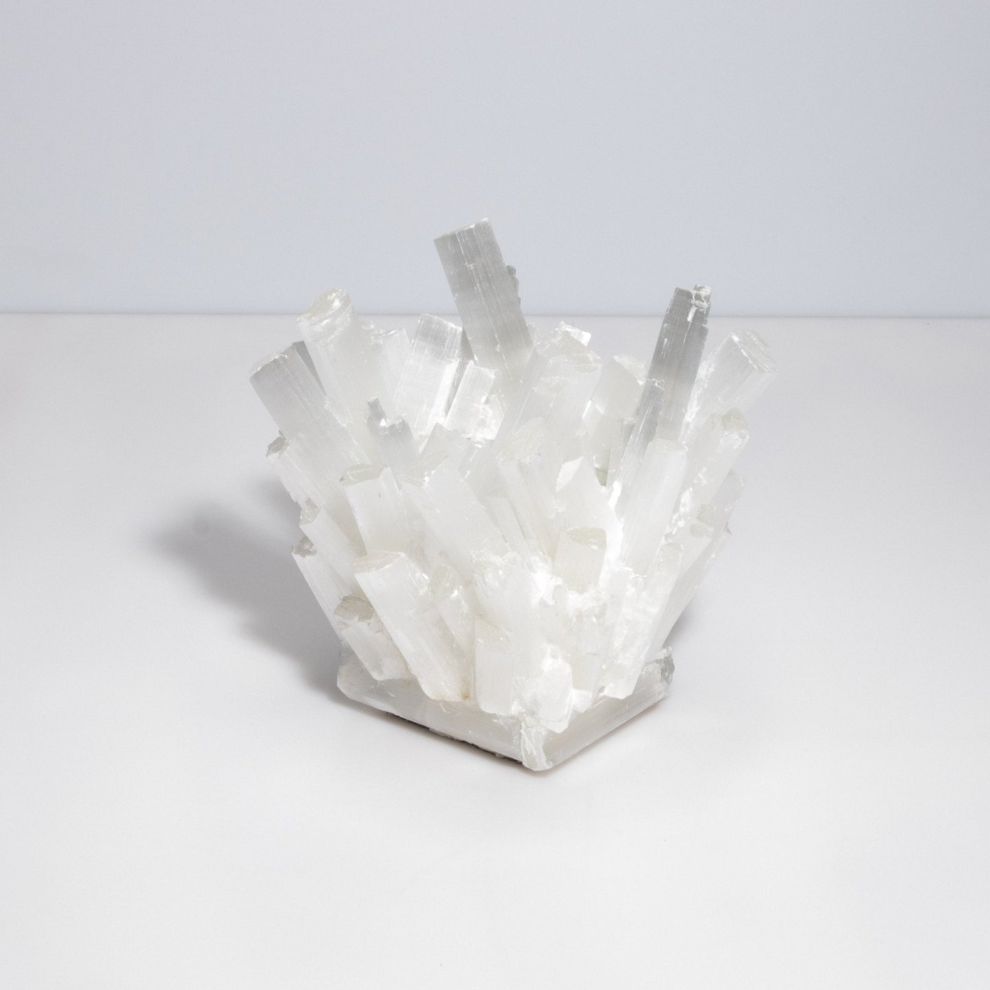 product_nam by Kathryn McCoy at MOGUL