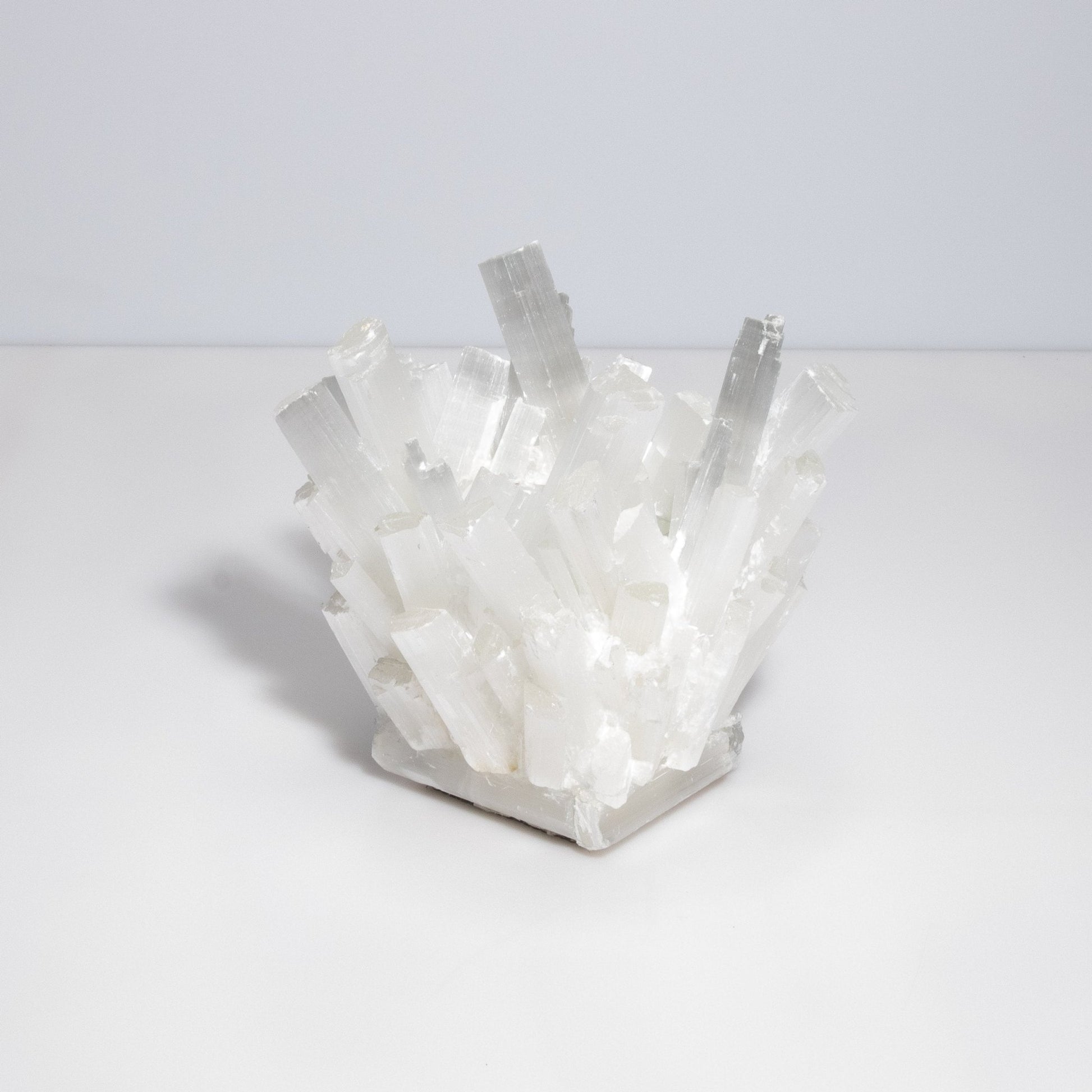product_nam by Kathryn McCoy at MOGUL