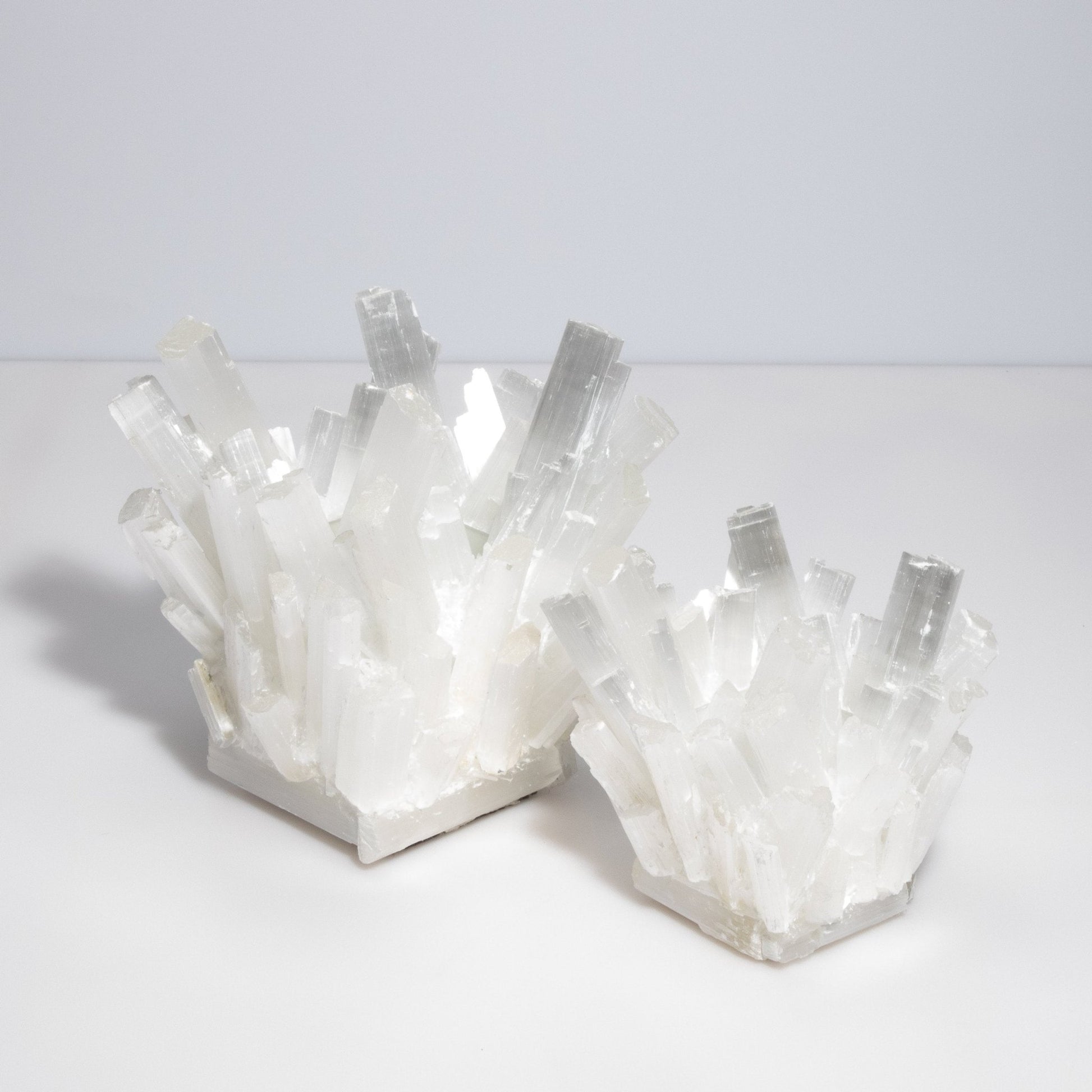 product_nam by Kathryn McCoy at MOGUL