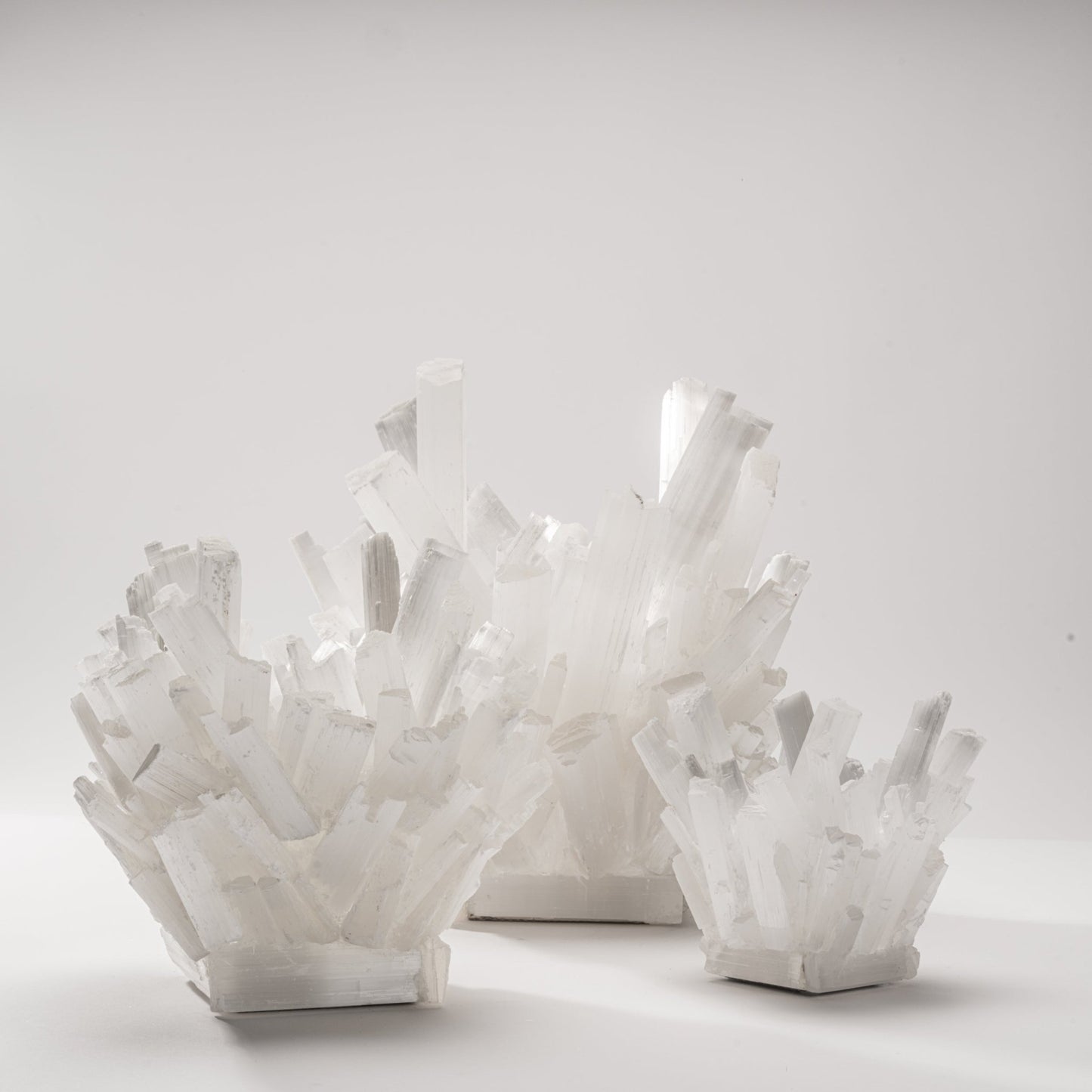 product_nam by Kathryn McCoy at MOGUL